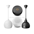 Professional 8 vatios Hi-Fi Hanging Ball Pa Altavoz